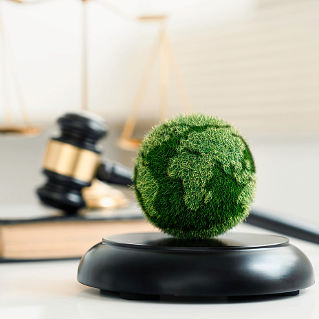 Экоправо: основные тренды 2022